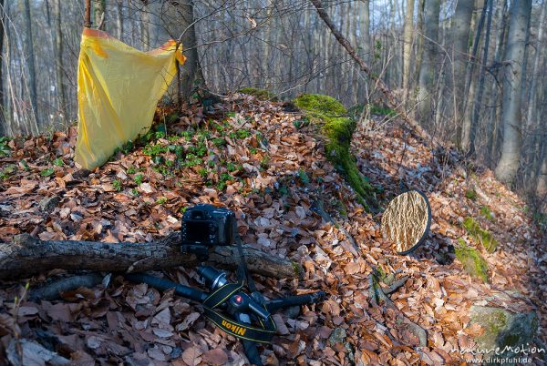 Zeitrafferaufnahmen von sich öffnenden Blüten: Windschutz und Schattenaufhellung sind unverzichtbar.