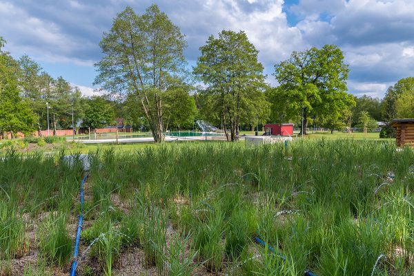 Natursportbad Bad Düben - Foto: dp mediendesign