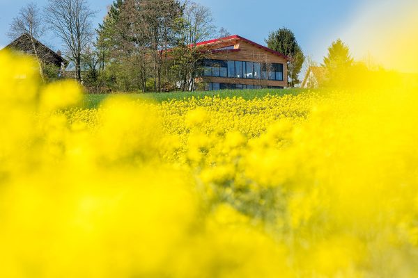 EKO-PLANT, Firmengebäude