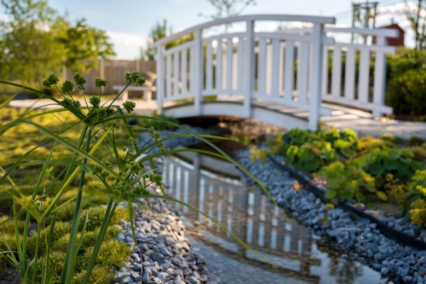 Japanischer Hausgarten in Leinefelde - Foto: Dirk Pfuhl, dp mediendesign, Göttingen