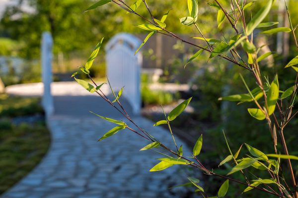 Japanischer Hausgarten in Leinefelde - Foto: Dirk Pfuhl, dp mediendesign, Göttingen