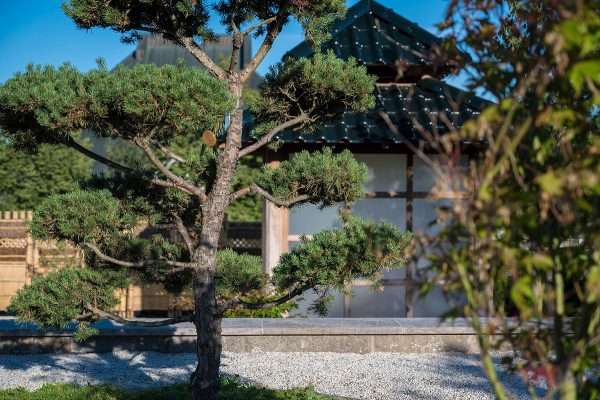 Japanischer Hausgarten in Leinefelde - Foto: Dirk Pfuhl, dp mediendesign, Göttingen