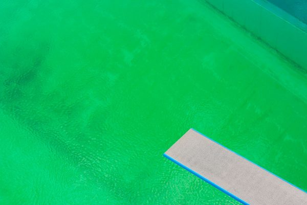 Naturerlebnisbad, EKO-PLANT GmbH