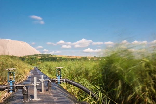 Schilfbecken und Klärschlammzuflüsse