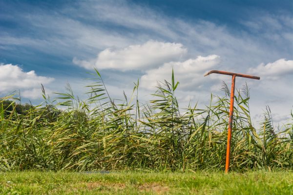 Erdwall einer Klärschlammvererdungsanlage
