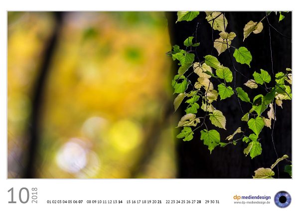 dp mediendesign Kundenkalender 2018