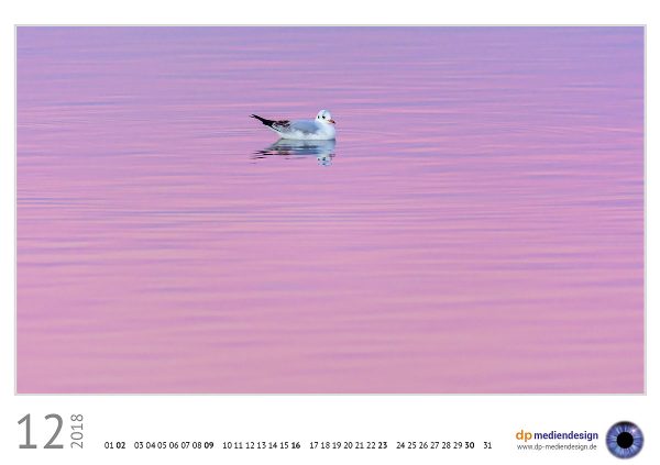 dp mediendesign Kundenkalender 2018