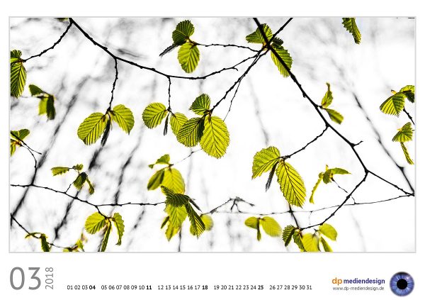 dp mediendesign Kundenkalender 2018