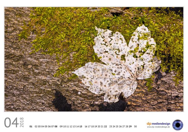 dp mediendesign Kundenkalender 2018