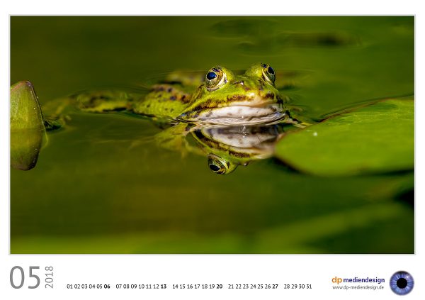 dp mediendesign Kundenkalender 2018