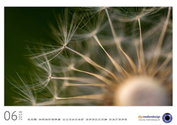 dp mediendesign Kundenkalender 2018