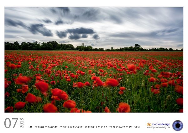 dp mediendesign Kundenkalender 2018
