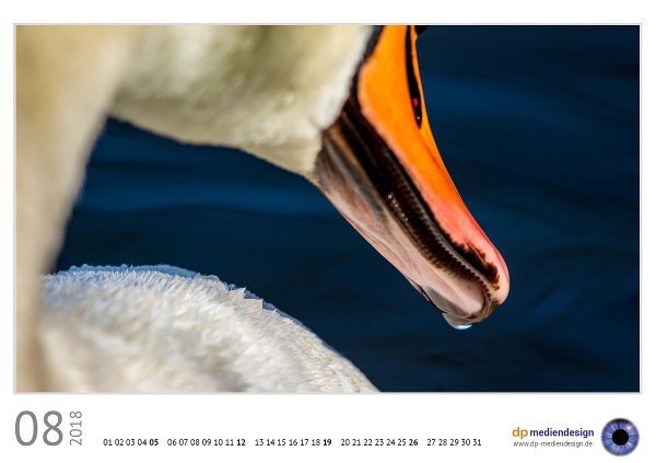 dp mediendesign Kundenkalender 2018