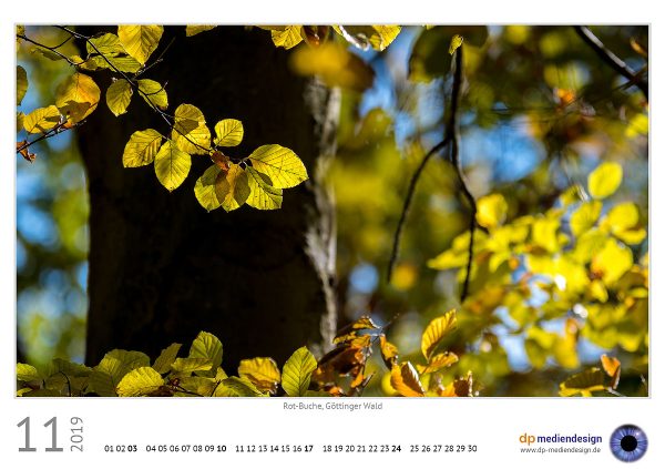 dp mediendesign Kundenkalender 2019