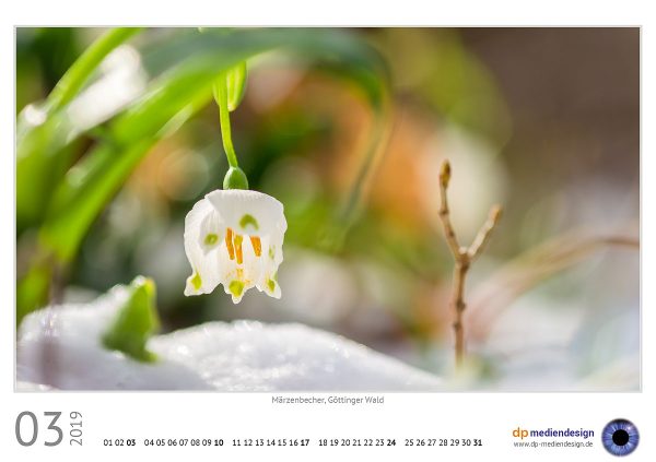 dp mediendesign Kundenkalender 2019