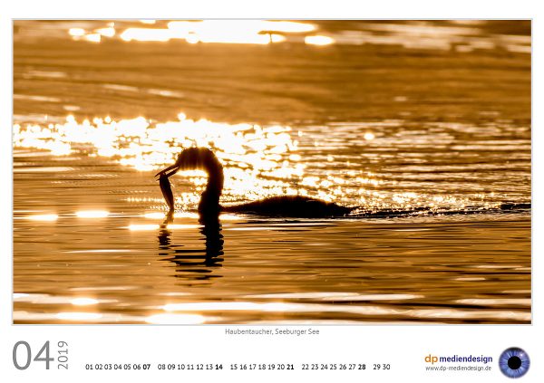 dp mediendesign Kundenkalender 2019