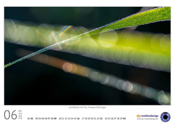 dp mediendesign Kundenkalender 2019