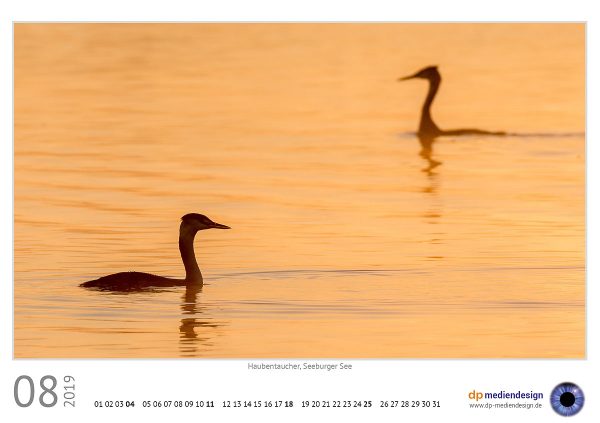 dp mediendesign Kundenkalender 2019