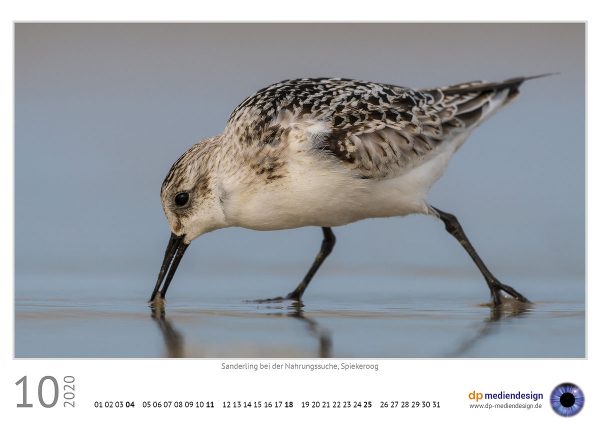 dp mediendesign Kundenkalender 2020