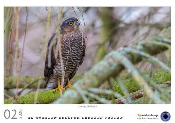 dp mediendesign Kundenkalender 2020