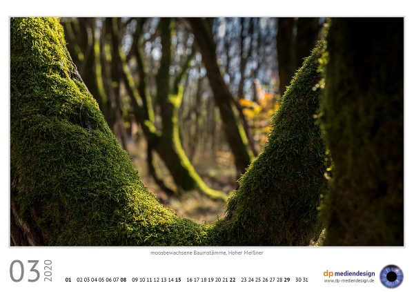 dp mediendesign Kundenkalender 2020