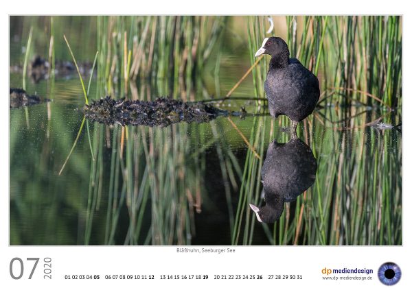 dp mediendesign Kundenkalender 2020