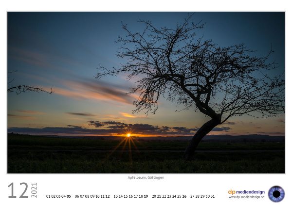 dp mediendesign Kundenkalender 2021