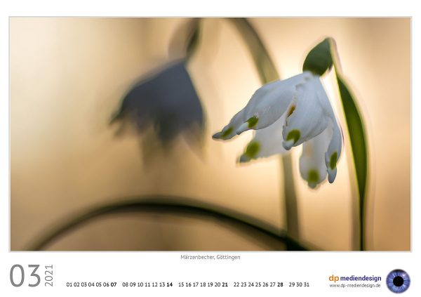 dp mediendesign Kundenkalender 2021