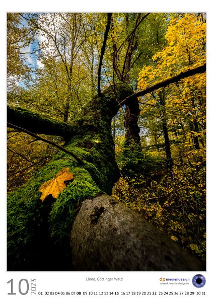 dp mediendesign Kundenkalener 2023