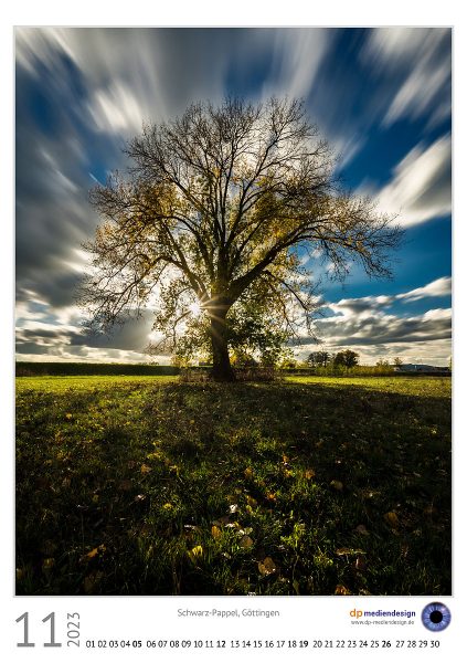 dp mediendesign Kundenkalener 2023