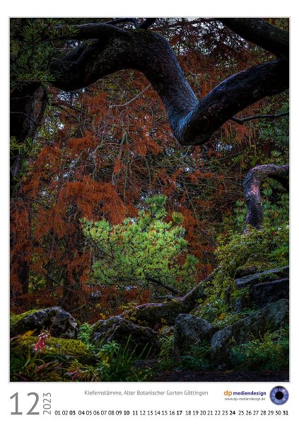 dp mediendesign Kundenkalener 2023