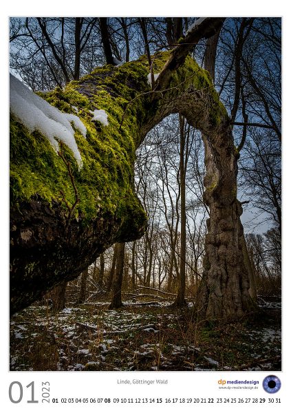 dp mediendesign Kundenkalener 2023