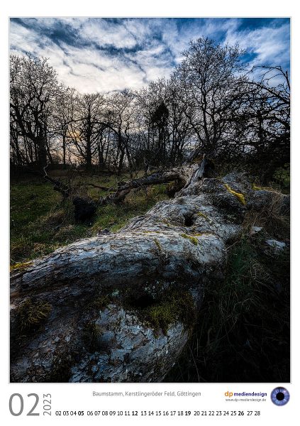 dp mediendesign Kundenkalener 2023