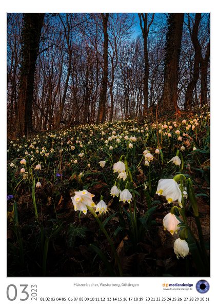 dp mediendesign Kundenkalener 2023