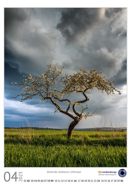 dp mediendesign Kundenkalener 2023