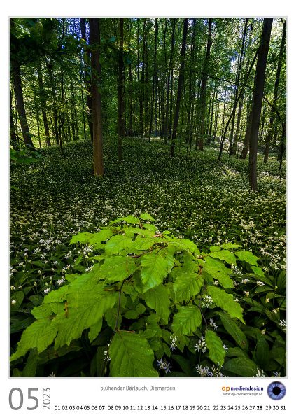 dp mediendesign Kundenkalener 2023