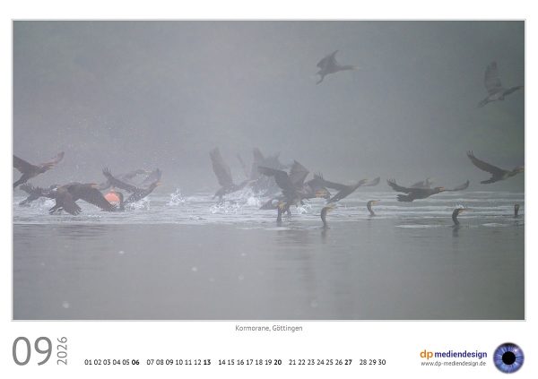 dp mediendesign Kundenkalender 2026