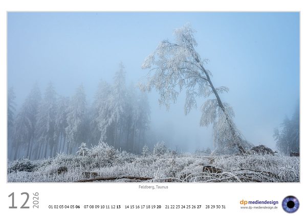 dp mediendesign Kundenkalender 2026