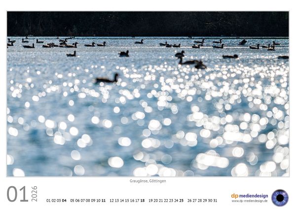 dp mediendesign Kundenkalender 2026