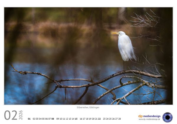 dp mediendesign Kundenkalender 2026