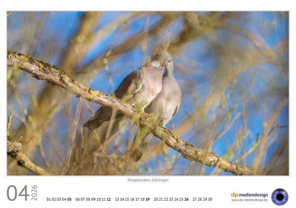 dp mediendesign Kundenkalender 2026