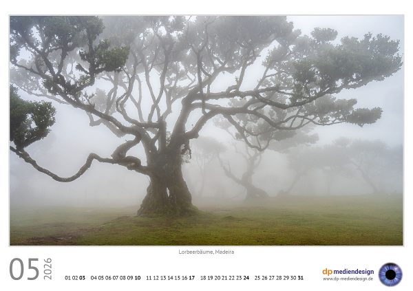 dp mediendesign Kundenkalender 2026
