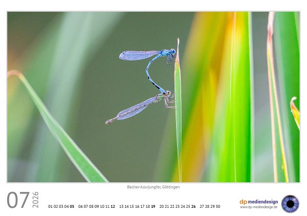 dp mediendesign Kundenkalender 2026