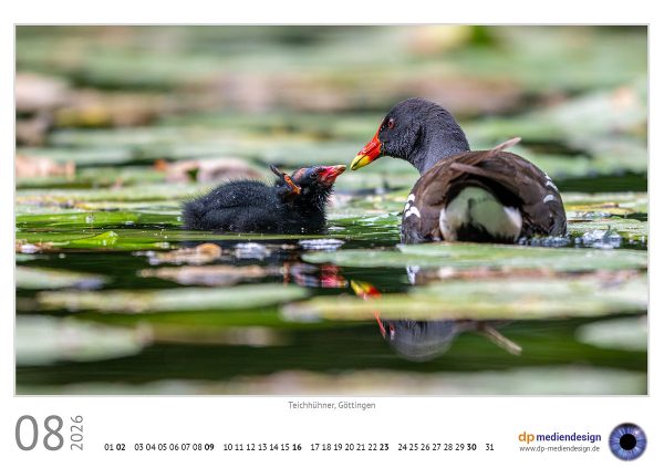dp mediendesign Kundenkalender 2026
