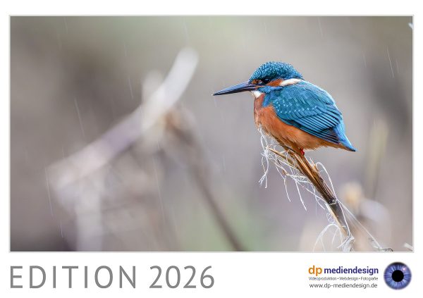 dp mediendesign Kundenkalender 2026