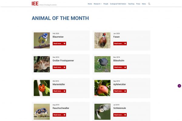 Screenshot Institut für Tierökologie und Evolution Stiftung Tierärztliche Hochschule Hannover