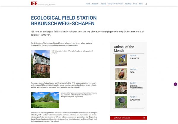 Screenshot Institut für Tierökologie und Evolution Stiftung Tierärztliche Hochschule Hannover