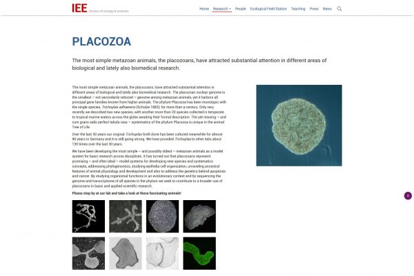 Screenshot Institut für Tierökologie und Evolution Stiftung Tierärztliche Hochschule Hannover