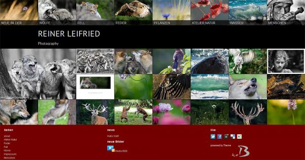 Screenshot Reiner Leifried Photography - Startseite