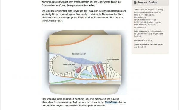 TK TinnitusCoaching: Das Corti-Organ